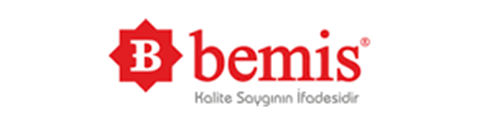 BEMİS